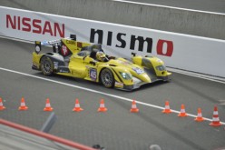 #24LM PA08473