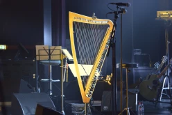 Alan Stivell - Décembre 2015 Salle du Ponant - Pacé- numéro 013