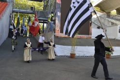 interceltique-2015-013-drapeaux des nations celtes