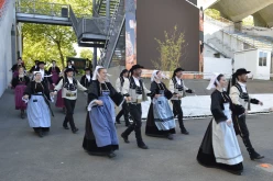 interceltique-2015-020-cercle Danserien Ar Vro Pourlet