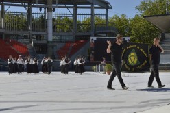 interceltique-2015-076-Bagad Panvrid Ar Beskont Pommerit le Vicomte 