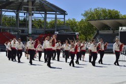 interceltique-2015-227-Bagad de Cesson-Sévigné