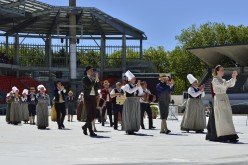 interceltique-2015-232-cercle d outre ille Saint-Gregoire