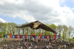  Puy-du-Fou-PA16480
