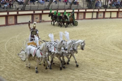  Puy-du-Fou-PA16565