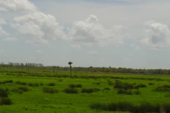 OISEAUX - DSC01410c