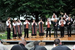  PYA3713 interceltique 2010