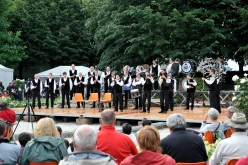  PYA3717 interceltique 2010