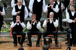  PYA3724 interceltique 2010