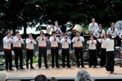  PYA3832 interceltique 2010