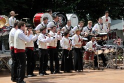  PYA3842 interceltique 2010