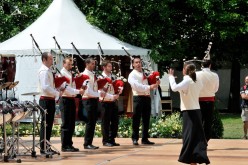  PYA3843 interceltique 2010