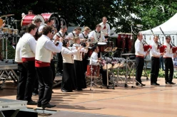  PYA3854 interceltique 2010