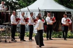  PYA3856 interceltique 2010