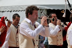  PYA3858 interceltique 2010