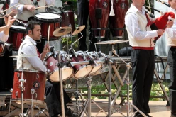 PYA3860 interceltique 2010