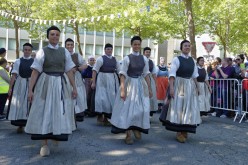 interceltique-de-Lorient-2017-Cercle-Ar-Vro-Vigoudenn-PA20415