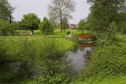 CESSON-SEVIGNE : Les ponts en bois - image 04