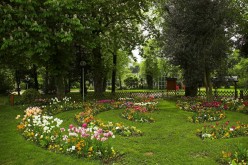 CESSON-SEVIGNE : Les jardins de Bourgchevreuil- image 08