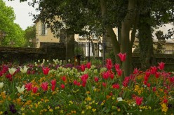 CESSON-SEVIGNE : Les jardins de Bourgchevreuil- image 10