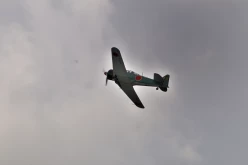 RENNES AIRSHOW 2010 - 4814