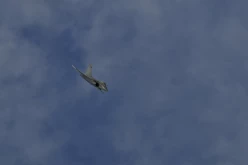 RENNES AIRSHOW 2010 - 5159