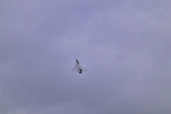 RENNES AIRSHOW 2010 - 5163