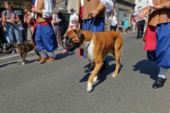 Folklores du monde 2018 D4S08865 PYA