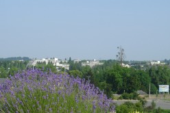 CESSON-SEVIGNE : Vue depuis l'hypermarché - image26