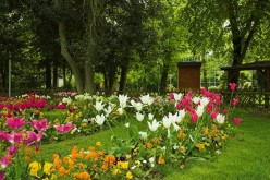 CESSON-SEVIGNE : le Parc de Bourgchevreuil- image 27