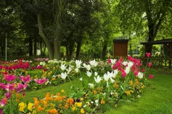 CESSON-SEVIGNE : le Parc de Bourgchevreuil- image 27