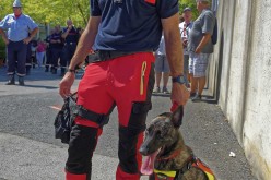 interceltique-2018-image14221-bagad-des-sapeurs-pompiers-du-morbihan