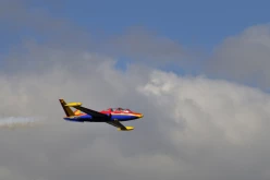 RENNES AIRSHOW 2010 - 5003