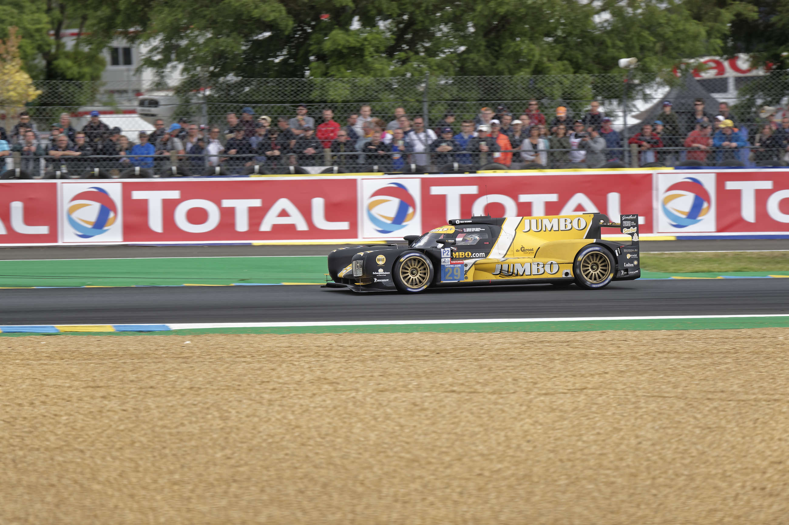 Le-Mans-2019-AUPIED-14145 Dallara #29