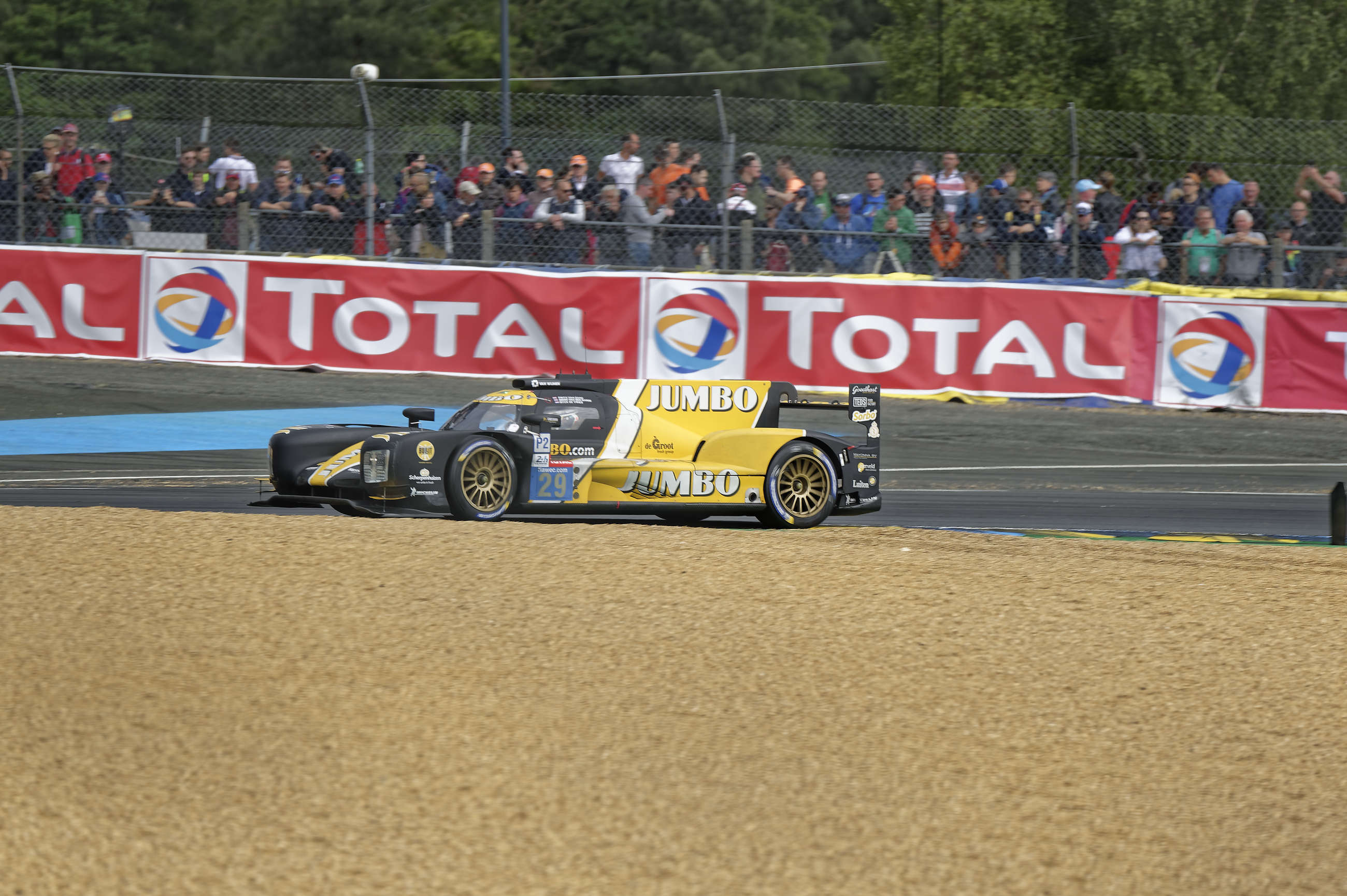 Le-Mans-2019-AUPIED-14186 Dallara #29