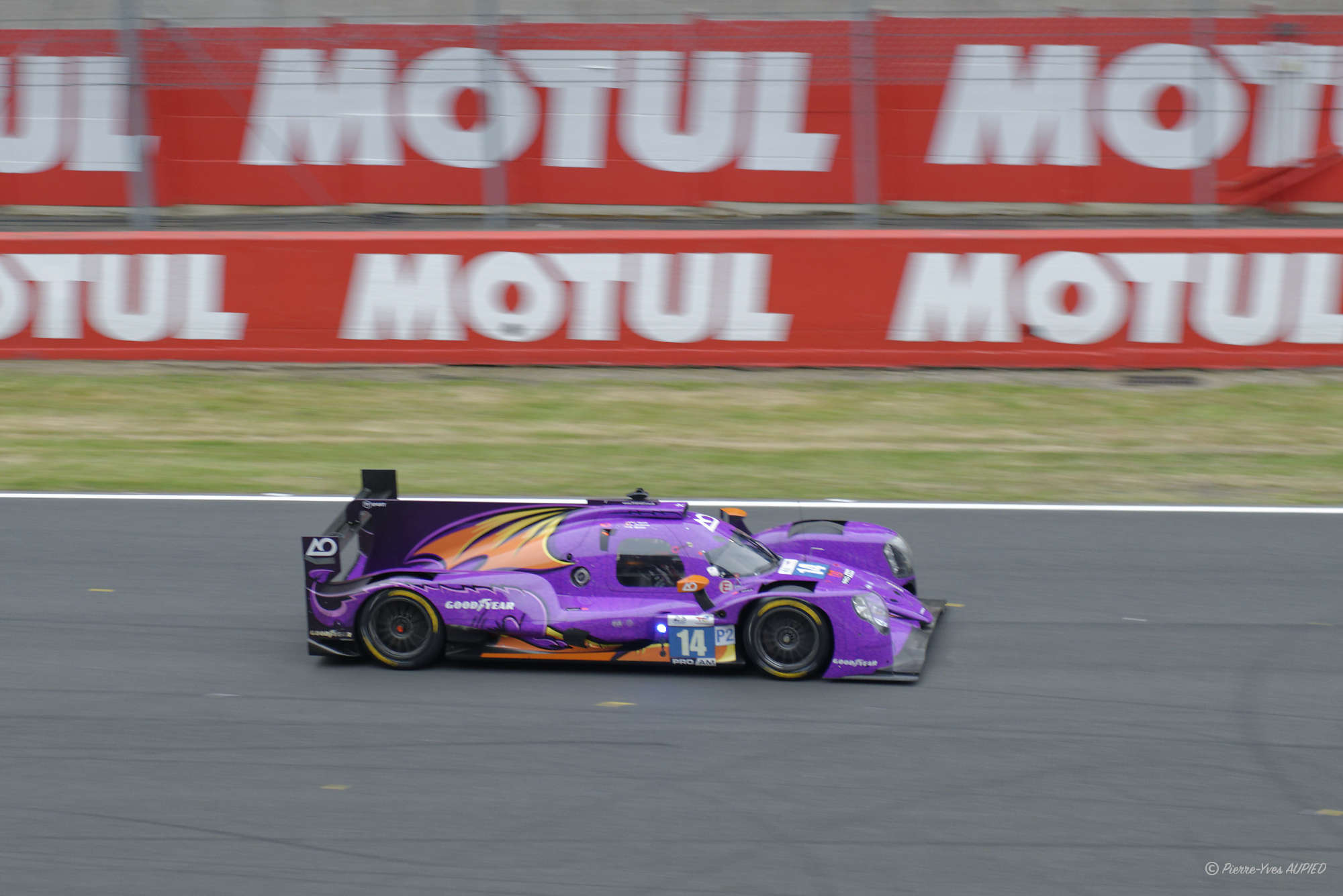 LeMans-2024 #14 AO by TF img50796