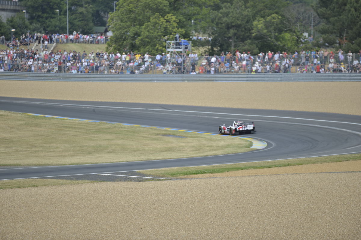 #24LM PA08355