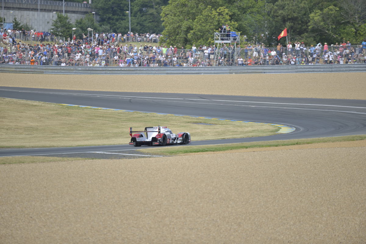 #24LM PA08412