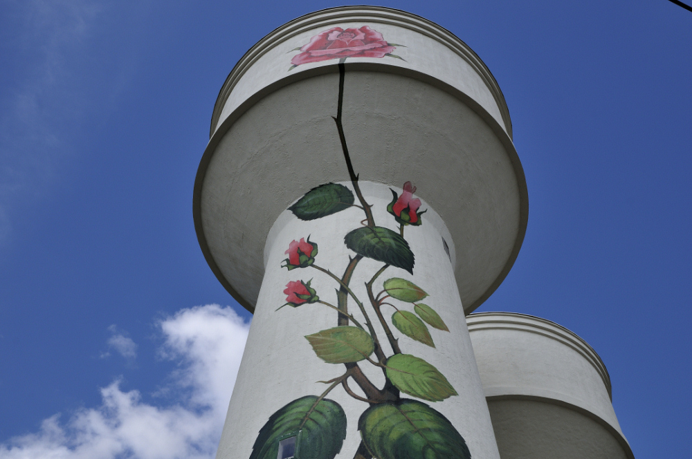 Doué la Fontaine-02