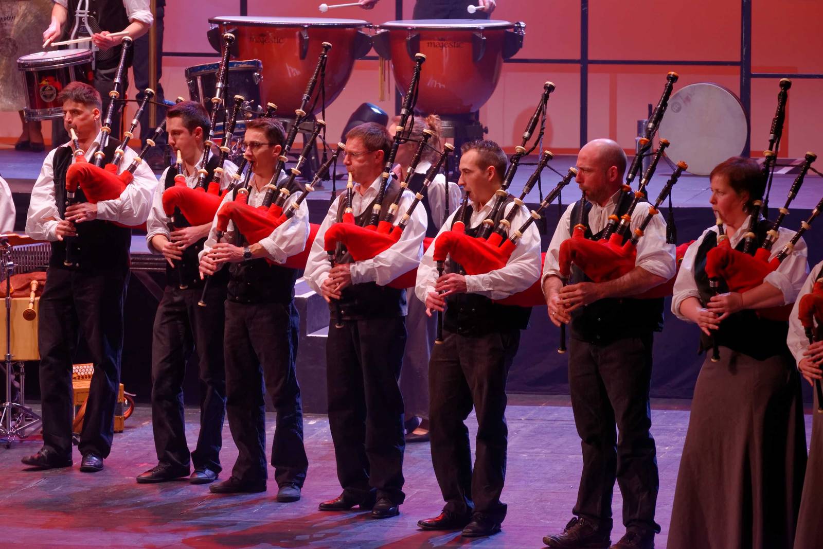 PA25628-Bro-Dreger-Perros