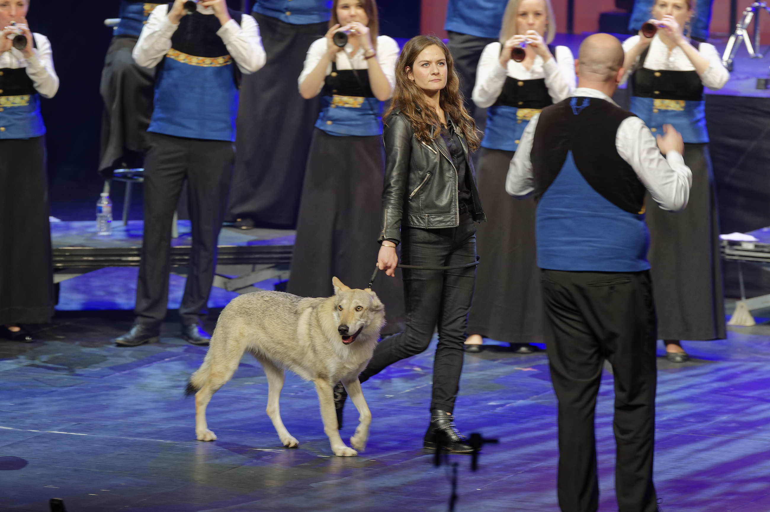 Penhars-Brest-le-10-02-2019-19430