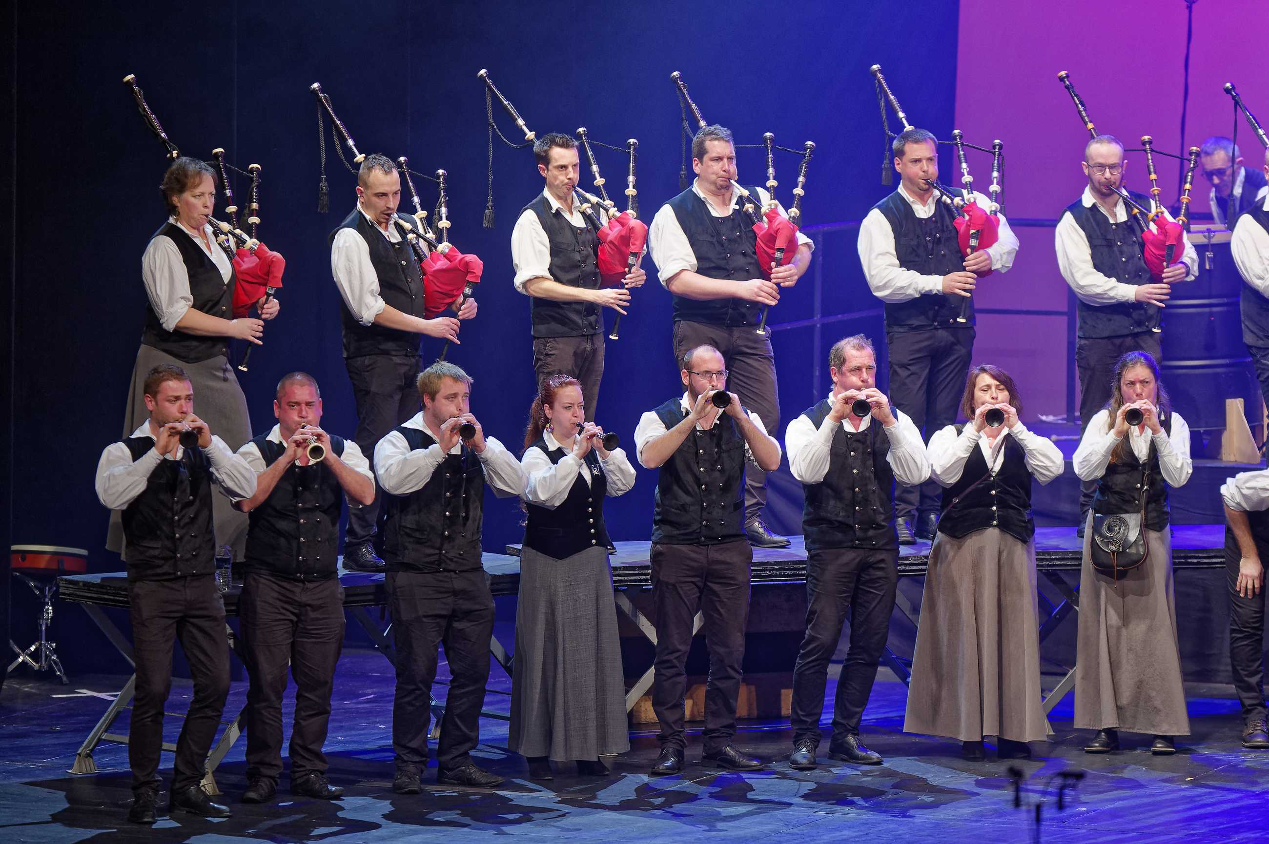 D427017Aupied-Perros