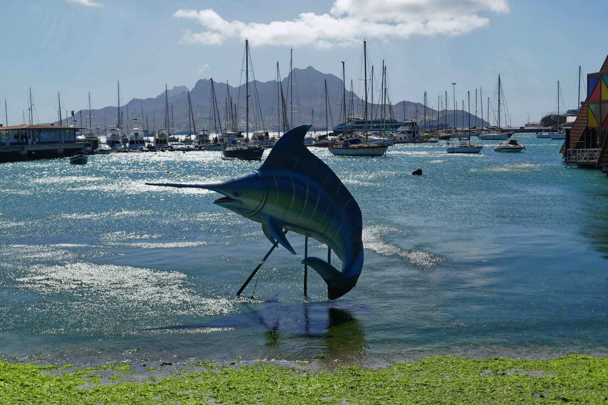 Cap-Vert-2025-P1050982PYA