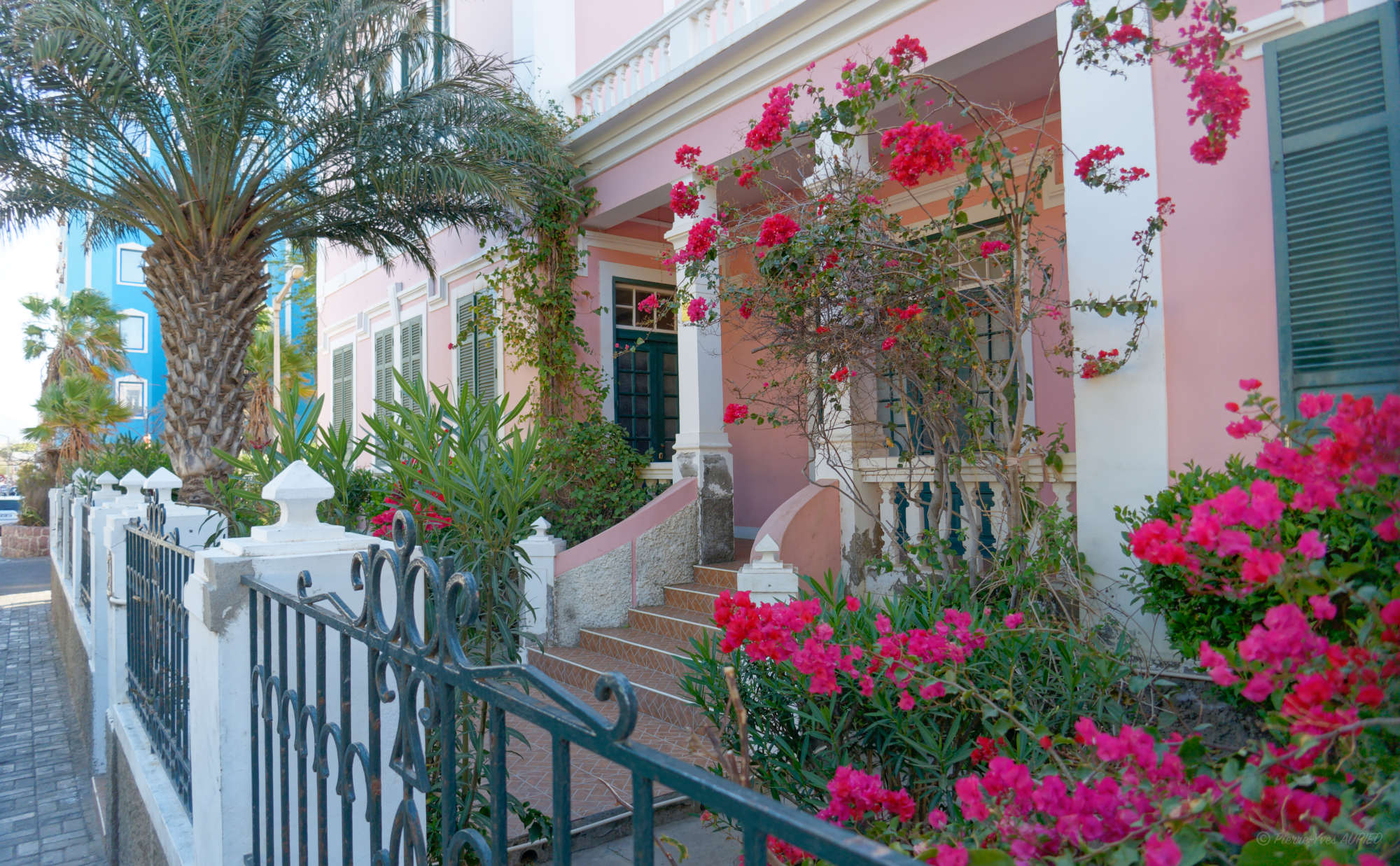 Cap-Vert-2025-P1060033PYA