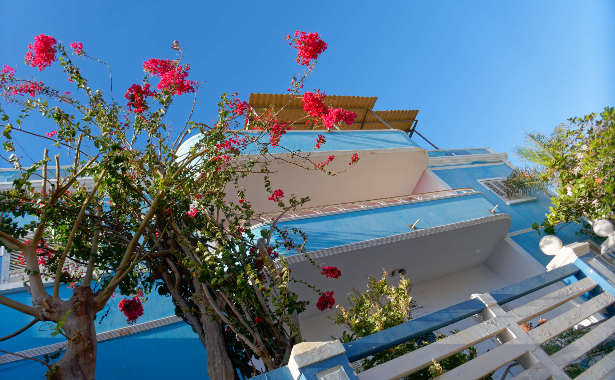 Cap-Vert-2025-P1060057PYA