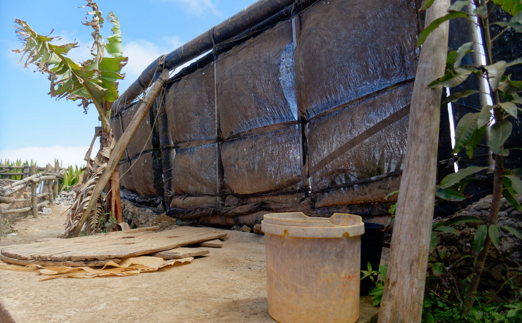 Cap-Vert-2025-P1060167PYA