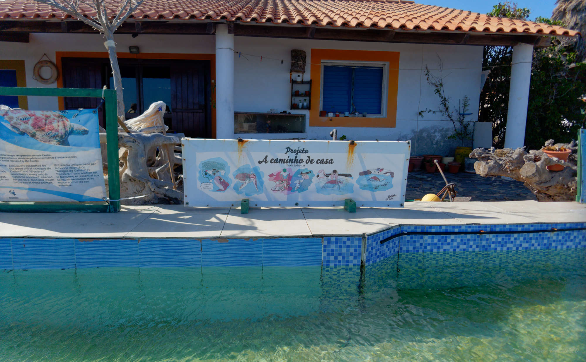 Cap-Vert-2025-P1060271PYA