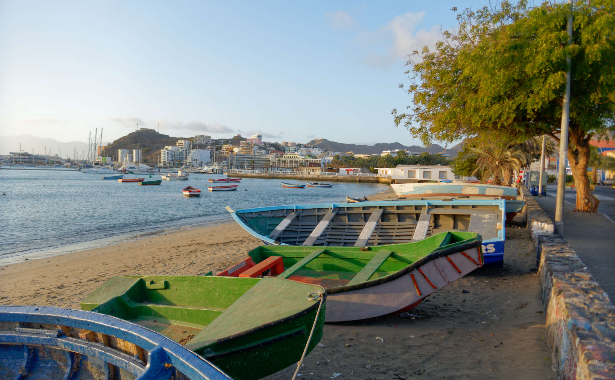 Cap-Vert-2025-P1060428PYA