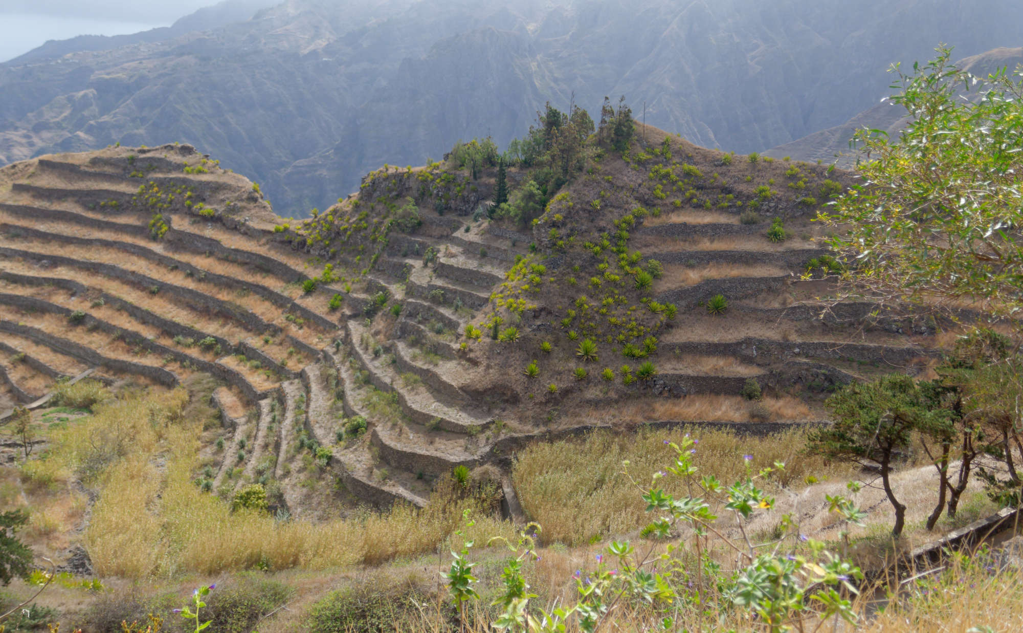 Cap-Vert-2025-P1060632PYA