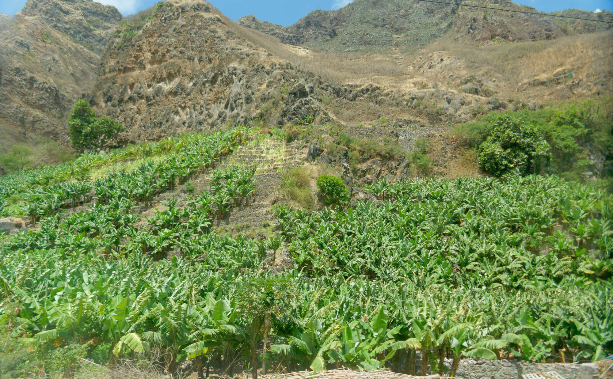 Cap-Vert-2025-P1060776PYA